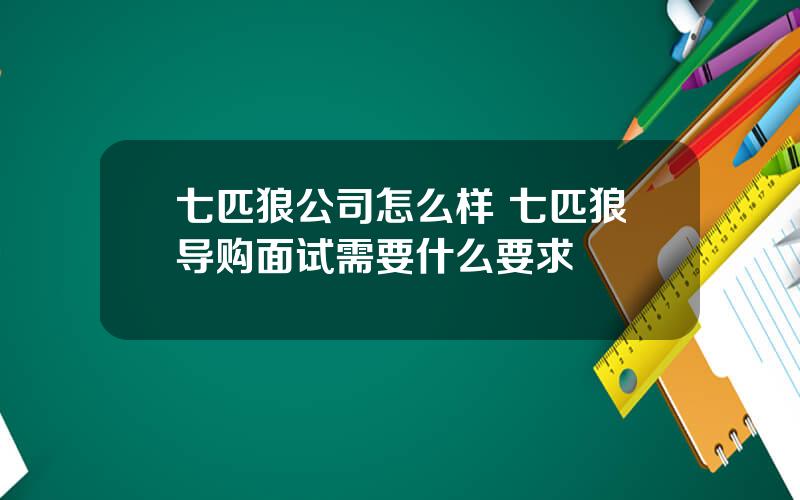 七匹狼公司怎么样 七匹狼导购面试需要什么要求